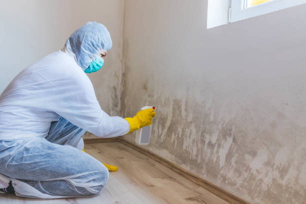 Mold Remediation specialist working in Taneytown