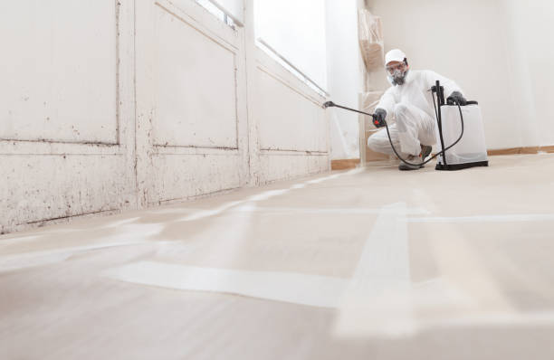 Black mold remediation team in Taneytown